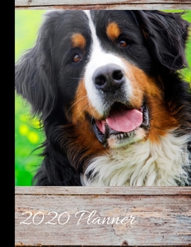 2020 Planner: Bernese Mountain Dog Cover - 2020 Monthly Planner Organizer Undated Calendar And ToDo List Tracker Notebook