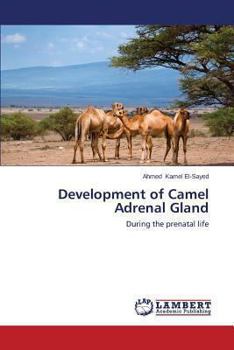 Paperback Development of Camel Adrenal Gland Book