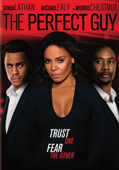 DVD The Perfect Guy Book