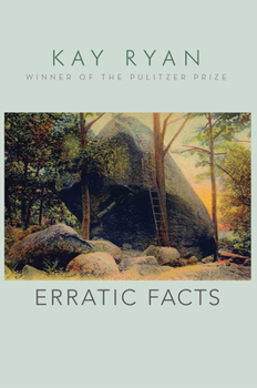 Hardcover Erratic Facts Book
