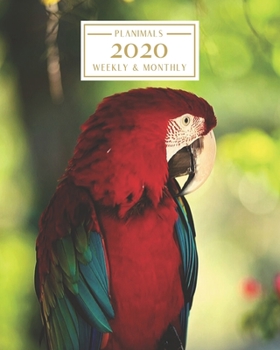 2020: Weekly and Monthly Planner/Calendar Jan 2020 – Dec 2020 Colorful Parrot