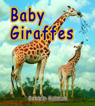 Paperback Baby Giraffes Book