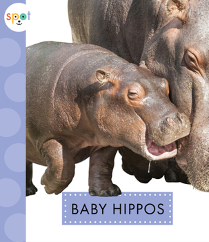 Paperback Baby Hippos Book