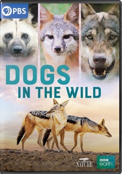 DVD Nature: Dogs In The Wild Book