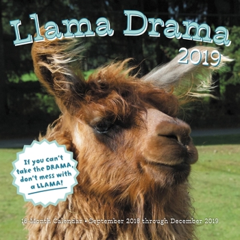 Calendar Llama Drama 2019: 16-Month Calendar - September 2018 Through December 2019 Book