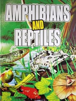 Hardcover AMPHIBIANA AND REPTILES, N.A. Book