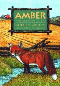Hardcover Amber: The Red Story of a Red Fox Book