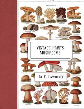 Paperback Vintage Prints: Mushrooms Book