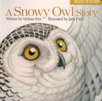 Board book A Snowy Owl Story Book