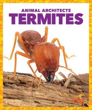 Library Binding Termites Book