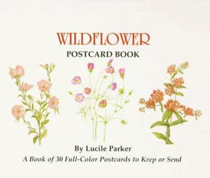 Gift Wildflower Postcard Book