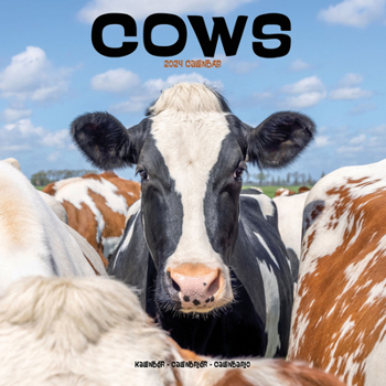 Calendar 2024 Cows Wall Calendar Book