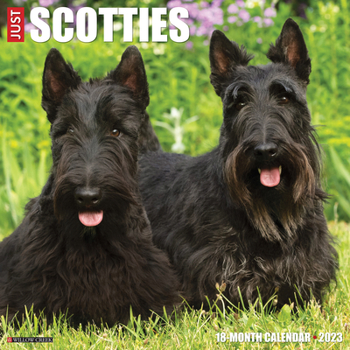 Calendar Just Scotties 2023 Wall Calendar Book