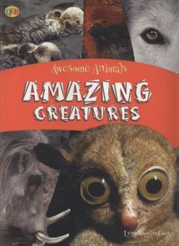 Paperback Amazing Creatures. Lynn Huggins-Cooper Book