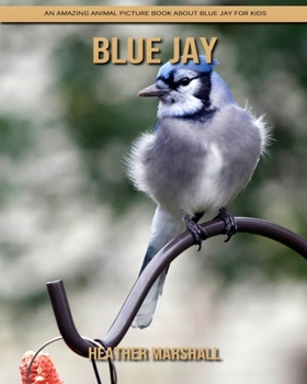 Paperback Blue Jay: An Amazing Animal Picture Book about Blue Jay for Kids Book