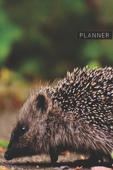 Planner: Hedgehog 1 Year Daily Planner (12 Months) | Animal World Nocturnal | 2020 - 2021 | 365 Pages for Planning | January 20 - December 20 | ... | Plan Each Day Set Goals & Get Stuff Done