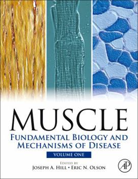 Hardcover Muscle: Fundamental Biology and Mechanisms of Disease Book
