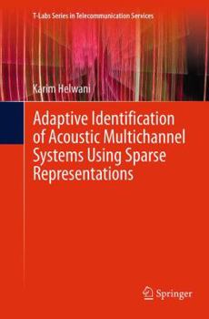 Paperback Adaptive Identification of Acoustic Multichannel Systems Using Sparse Representations Book
