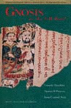 Hardcover Gnosis on the Silk Road: Gnostic Texts from Central Asia Book