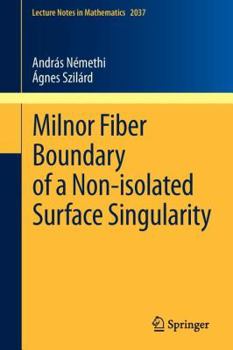 Paperback Milnor Fiber Boundary of a Non-Isolated Surface Singularity Book