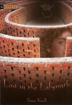 Paperback Lost in the Labyrinth Book