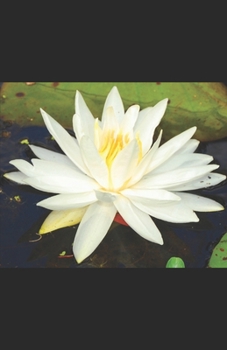 Paperback Dialogue avec l'Entité Tme 6 Partie 2 [French] Book