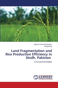 Paperback Land Fragmentation and Rice Production Efficiency in Sindh, Pakistan Book