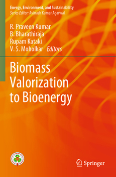 Paperback Biomass Valorization to Bioenergy Book