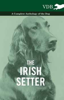 Paperback The Irish Setter - A Complete Anthology of the Dog Book