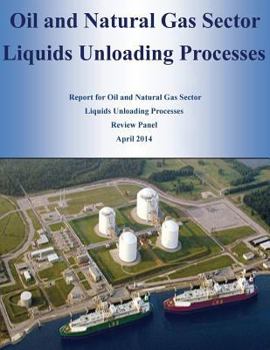 Paperback Oil and Natural Gas Sector Liquids Unloading Processes Book