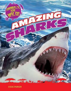 Paperback Amazing Sharks Book