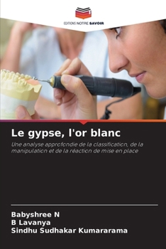 Le gypse, l'or blanc (French Edition)