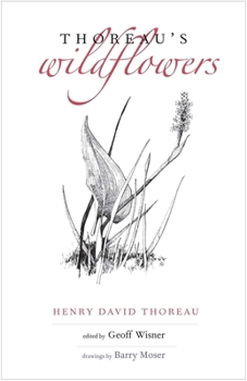 Hardcover Thoreau's Wildflowers Book