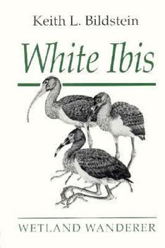 Hardcover White Ibis: Wetland Wanderer Book