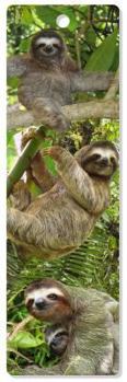 Misc. Sloths 3-D Bookmark Book