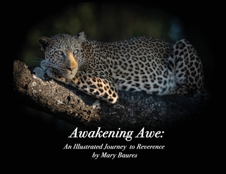 Paperback Awakening Awe: An Illustrated Journey to Reverence Book