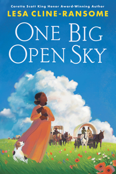 Hardcover One Big Open Sky Book