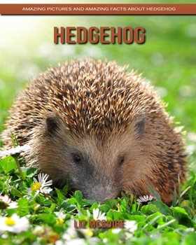 Paperback Hedgehog: Amazing Pictures and Amazing Facts about Hedgehog Book