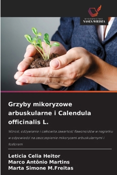 Grzyby mikoryzowe arbuskularne i Calendula officinalis L.
