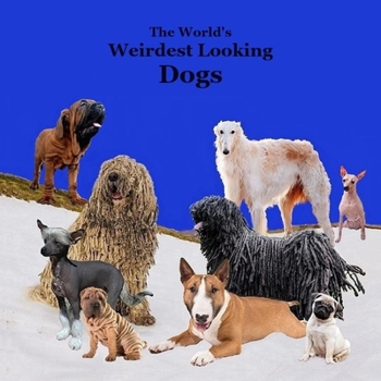 Paperback Weirdest Looking Dogs in the World Kids Book: Great Way for Children to Meet the World's Weirdest Looking Dogs Book