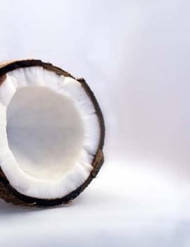 Paperback Coconut Notebook Large Size 8.5 x 11 Ruled 150 Pages Softcover Book