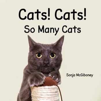 Paperback Cats! Cats! So Many Cats! Book