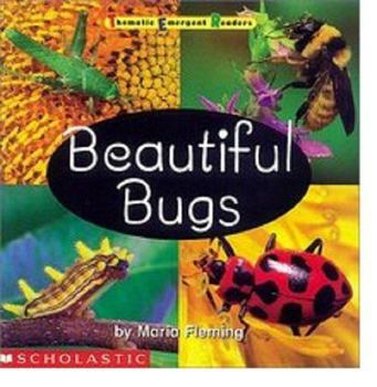 Paperback Beautiful Bugs Book