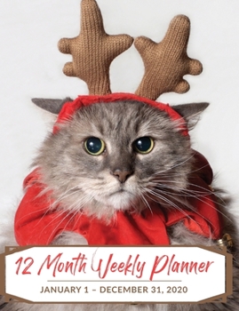 12 Month Weekly Planner: January 1 - December 31, 2020
