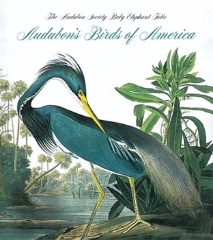 Hardcover Audubon's Birds of America: The National Audubon Society Baby Elephant Folio (Tiny Folio) Book