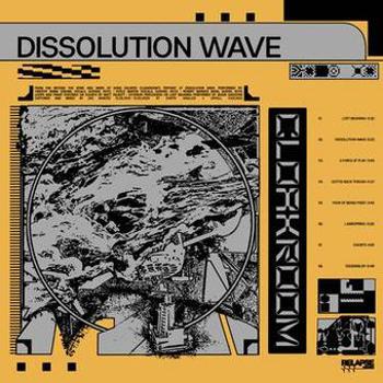 Vinyl Dissolution Wave Book