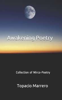 Paperback Awakening Poetry: The Only Time To Awaken Is Now Book