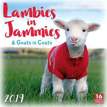 Lambies in Jammies & Goats in Coats 2019 Wall Calendar