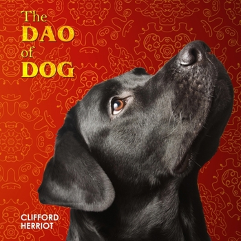 Paperback The Dao of Dog Book