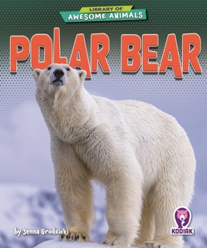 Polar Bear (Library of Awesome Animals Set Seven)